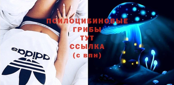 a pvp Лиски